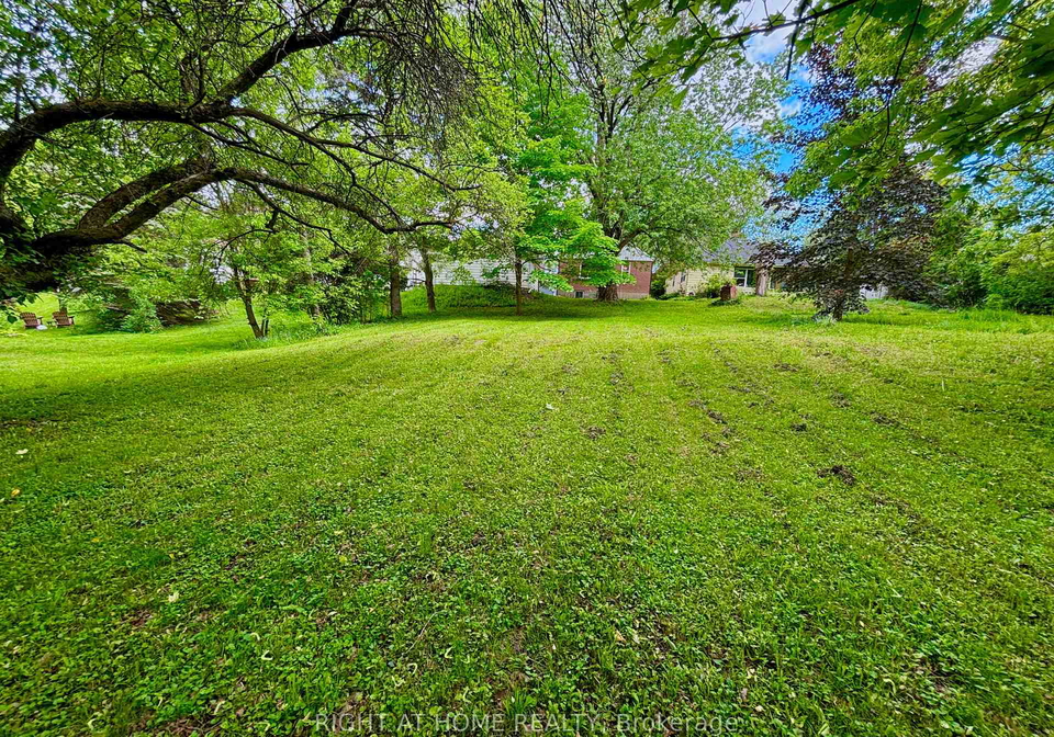 735-srigley-street-newmarket-ontario-n13746714