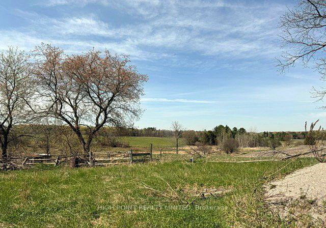 4219-mt-albert-road-east-gwillimbury-ontario-n13753184