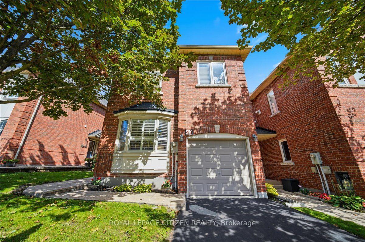 255-shaftsbury-avenue-richmond-hill-ontario-n13755020