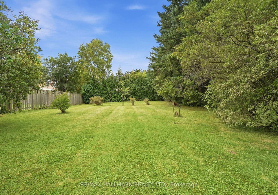 7-george-street-richmond-hill-ontario-n13782898