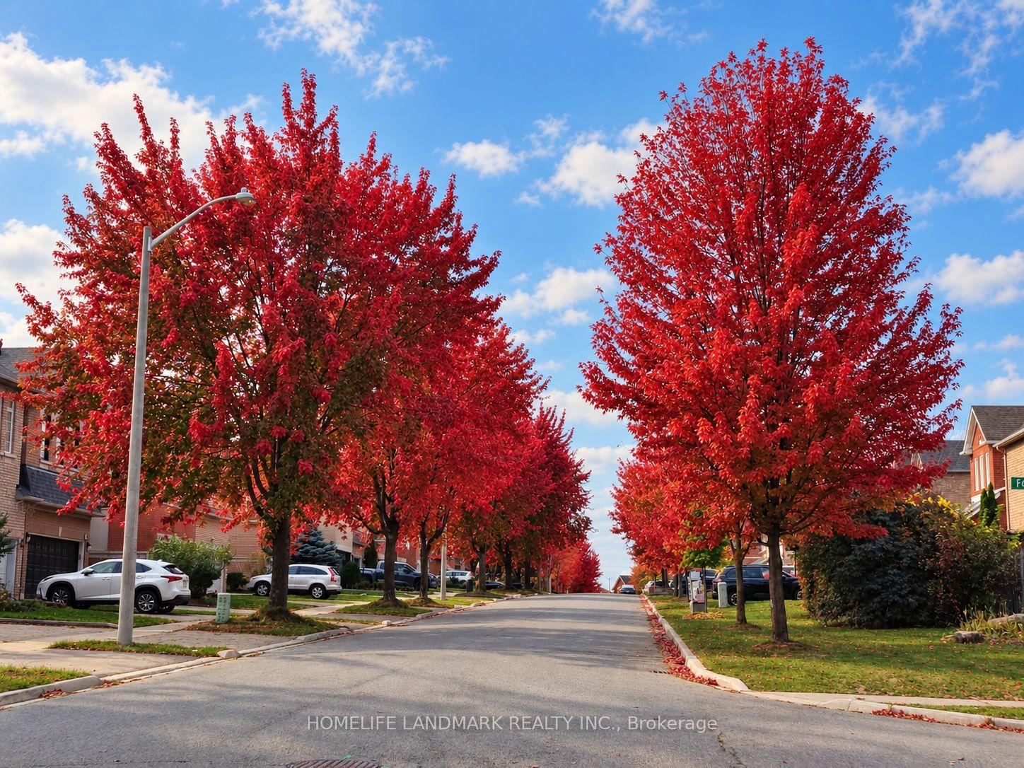 96-formosa-drive-richmond-hill-ontario-n13782938
