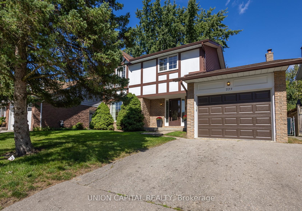 223-centre-street-w-richmond-hill-ontario-n13784628