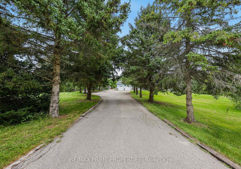 20369-centre-street-east-gwillimbury-ontario-n13793320