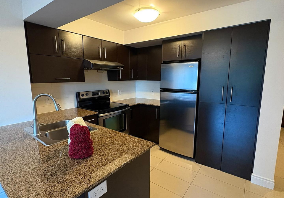 233-south-park-road-markham-ontario-n13794770
