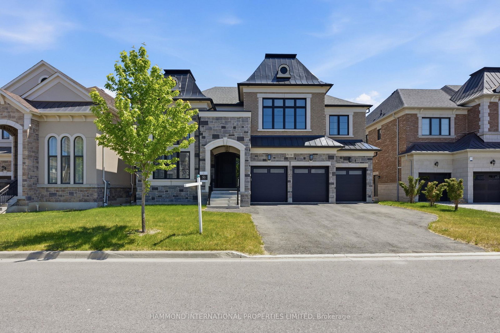 19-little-celeste-court-vaughan-ontario-n13797198