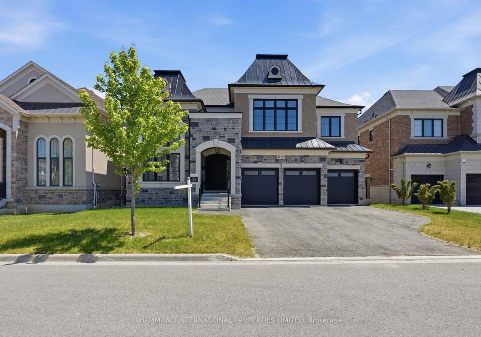 19-little-celeste-court-vaughan-ontario-n13797198