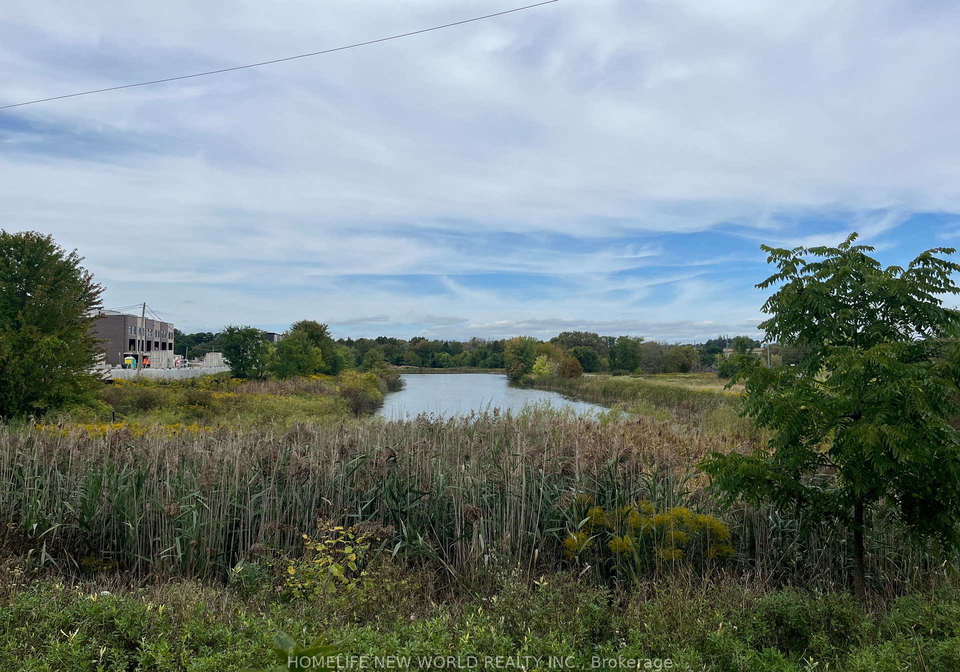 9700-ninth-line-markham-ontario-n13800842