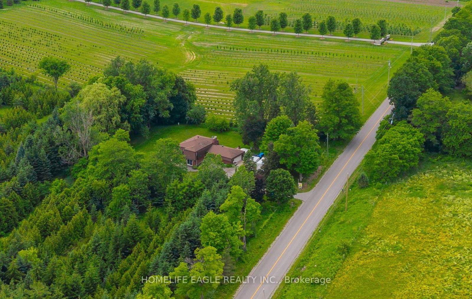 5803-3rd-line-new-tecumseth-ontario-n13805400