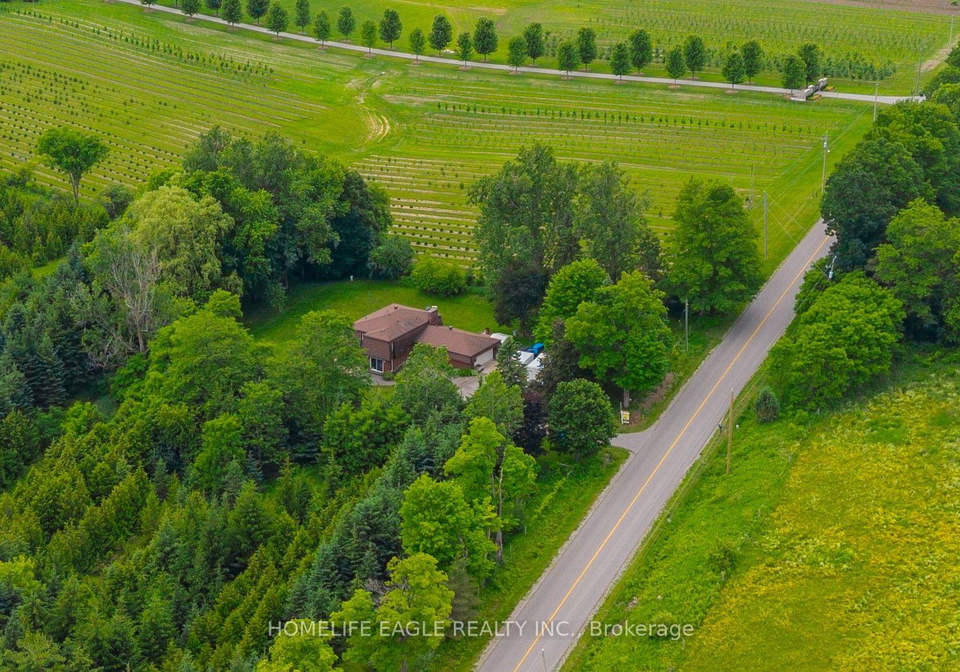 5803-3rd-line-new-tecumseth-ontario-n13805400