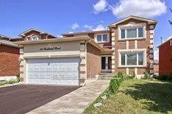 117-yorkland-street-richmond-hill-ontario-n13809486