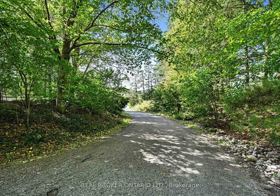 18061-highway-48-east-gwillimbury-ontario-n13822796