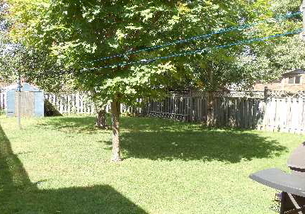 24-hodgins-avenue-georgina-ontario-n2730576