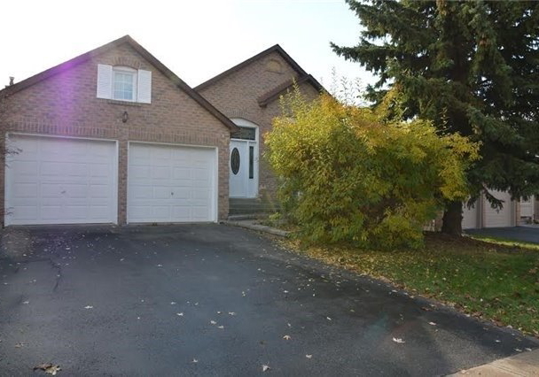 312-harewood-boulevard-newmarket-ontario-n3744035