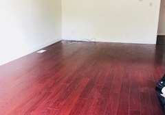 250-beechy-drive-richmond-hill-ontario-n4227631