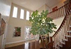 32-miriam-crescent-richmond-hill-ontario-n5092909