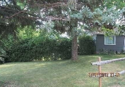 61-roxborough-road-newmarket-ontario-n5105209