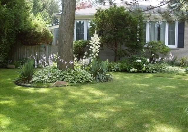 21-algonquin-crescent-aurora-ontario-n5138333