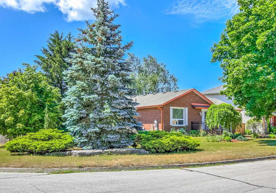 163-olive-street-east-gwillimbury-ontario-n5289257