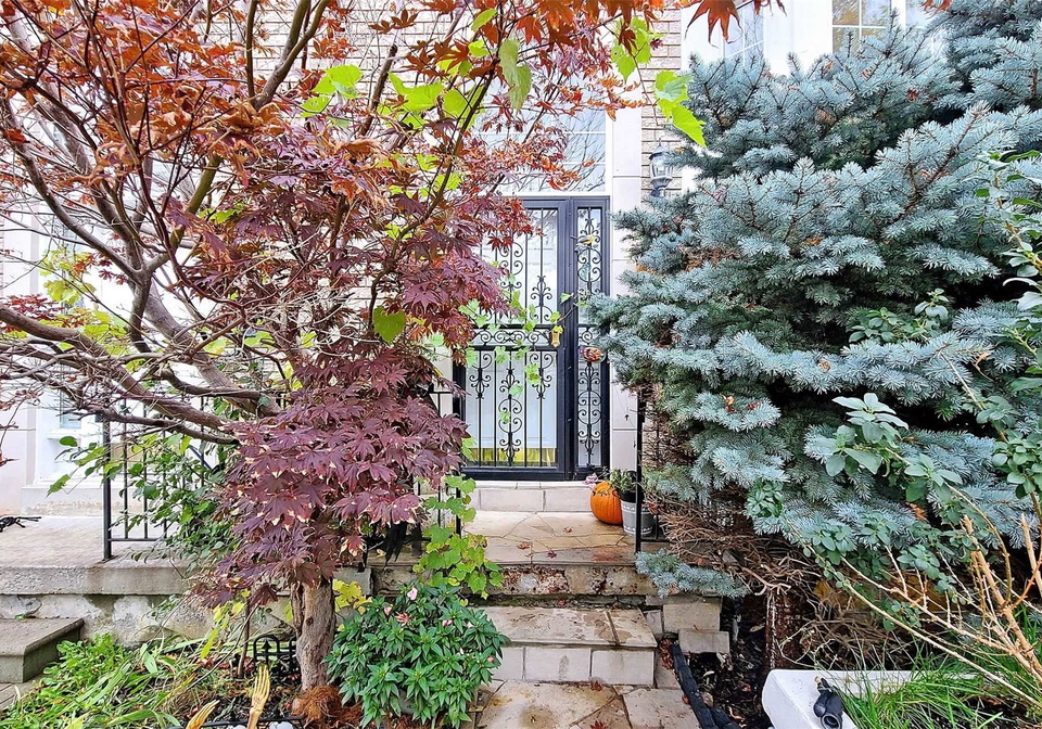183-shirley-drive-richmond-hill-ontario-n5415820