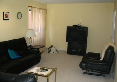 16-sophia-road-markham-ontario-n642923