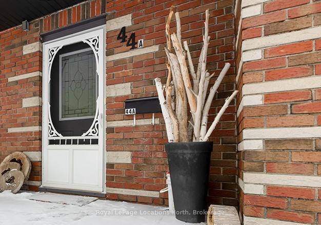 44-saint-peter-street-collingwood-ontario-s11996758