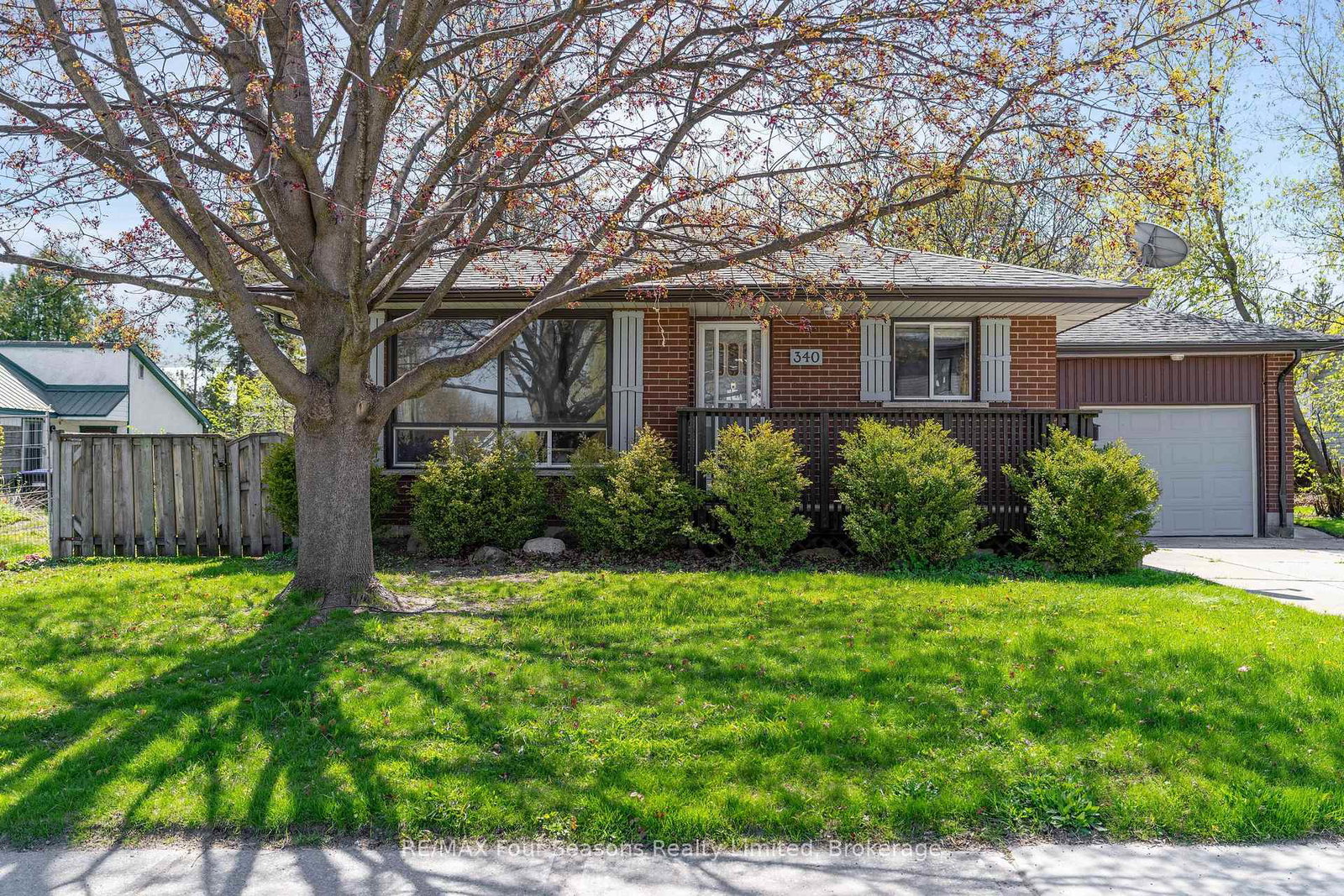 340-street-collingwood-ontario-s12146474