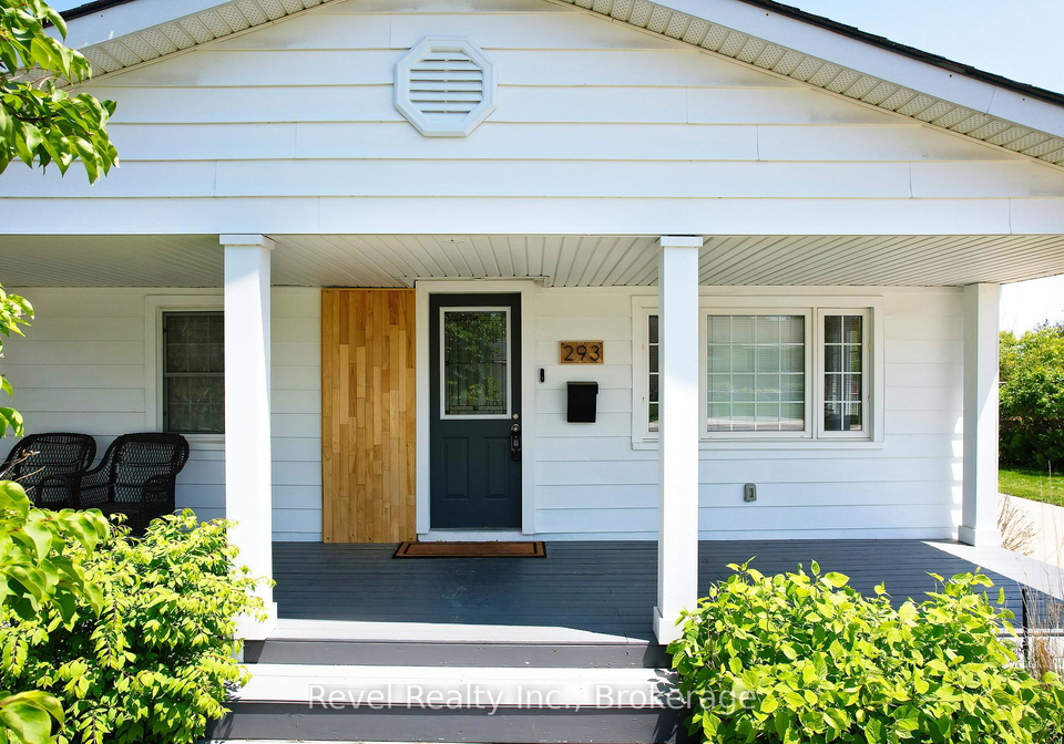 293-napier-street-collingwood-ontario-s12193197