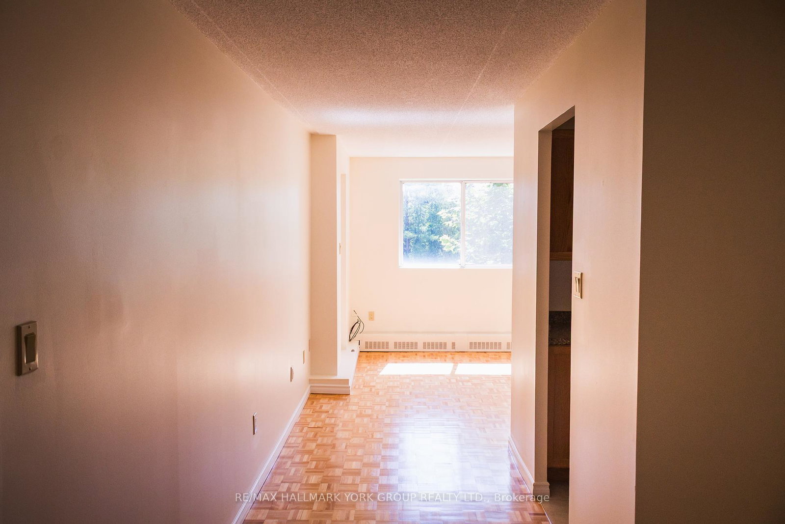 262-rose-street-barrie-ontario-s12266438