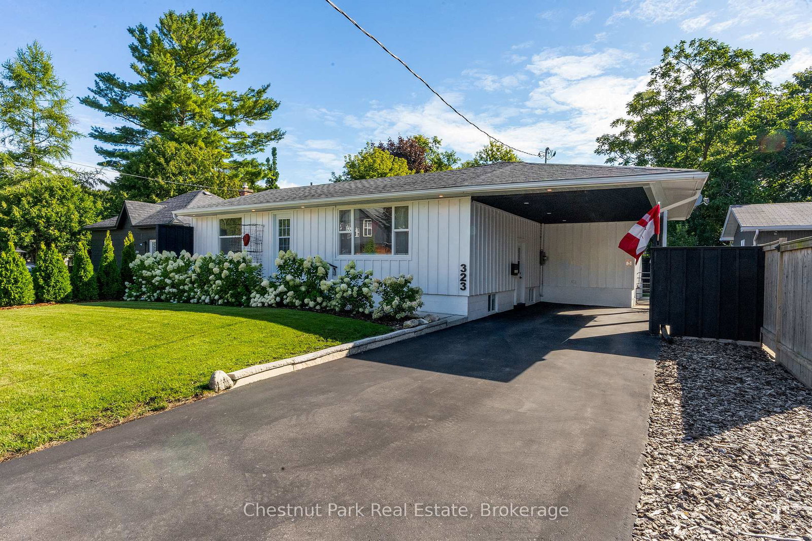 323-oak-street-collingwood-ontario-s12312907