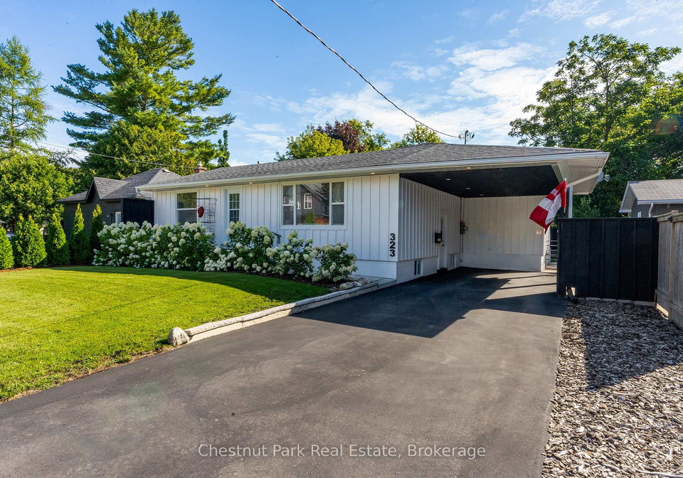 323-oak-street-collingwood-ontario-s12312907