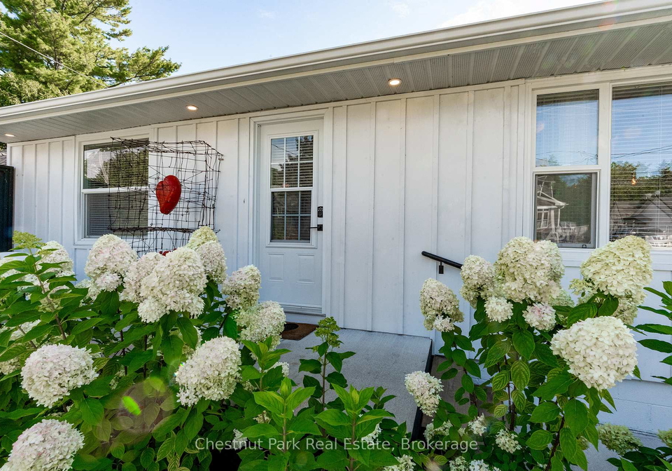 323-oak-street-collingwood-ontario-s12312907