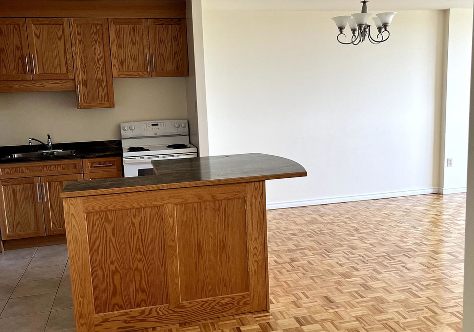 262-rose-street-barrie-ontario-s12343749