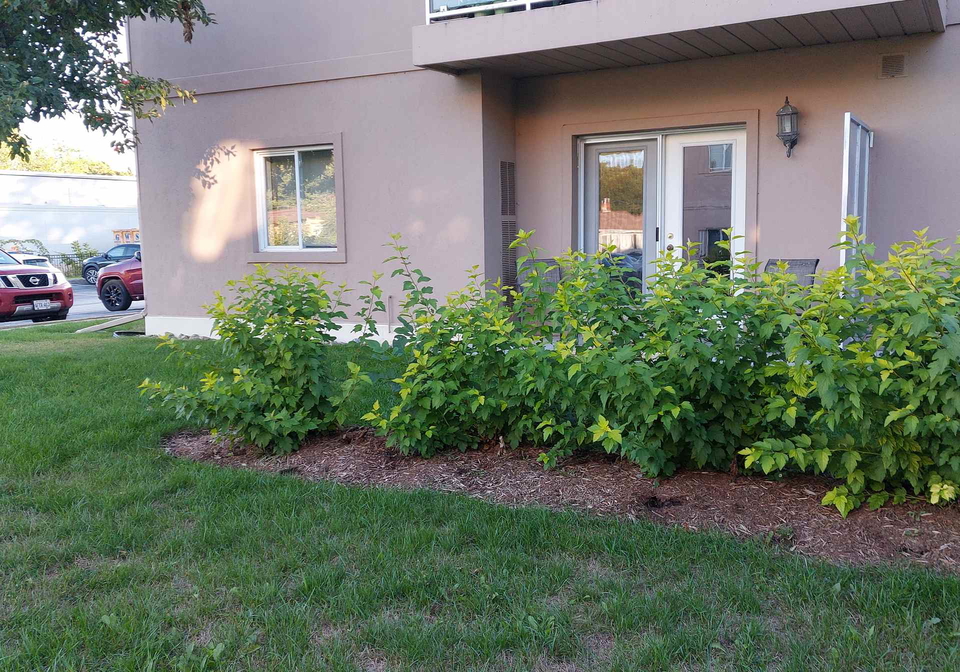 115-bond-street-orillia-ontario-s12371372