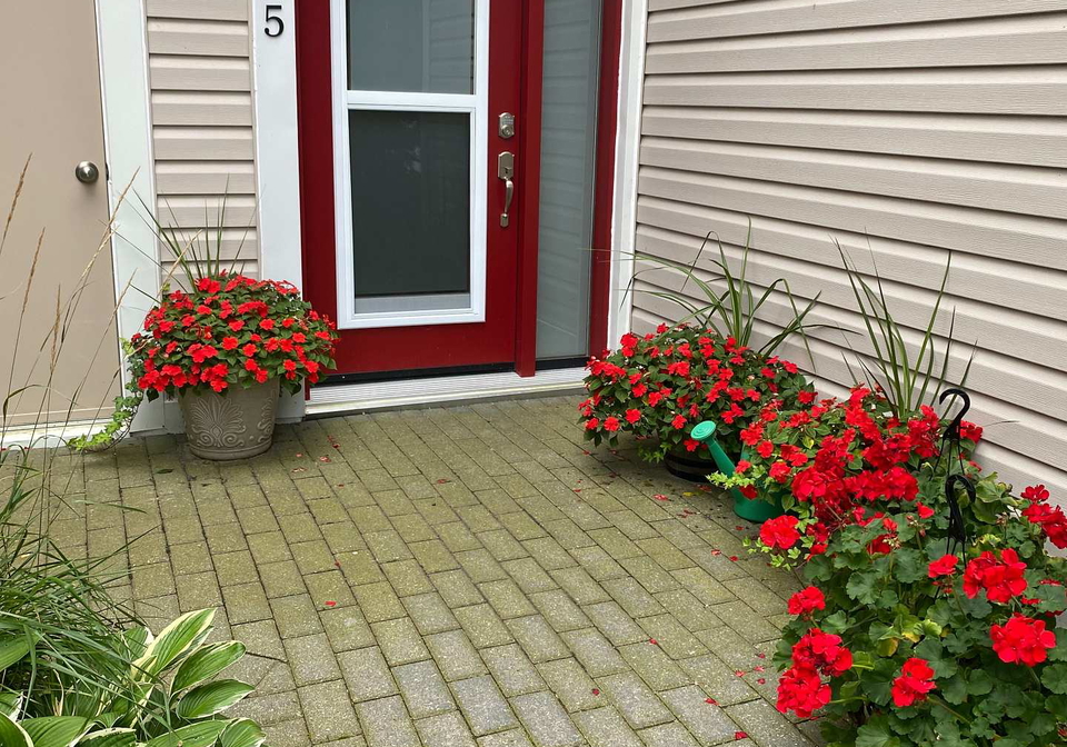 49-trott-boulevard-collingwood-ontario-s12382843