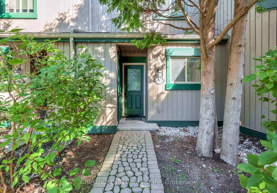 11-harbour-street-collingwood-ontario-s12383033