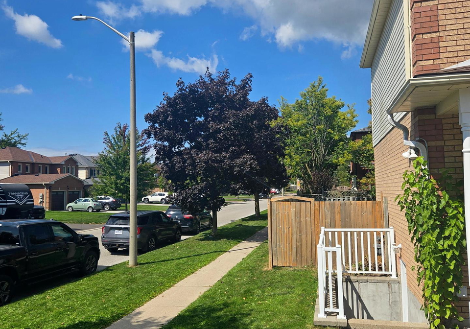 52-burke-drive-barrie-ontario-s12406104