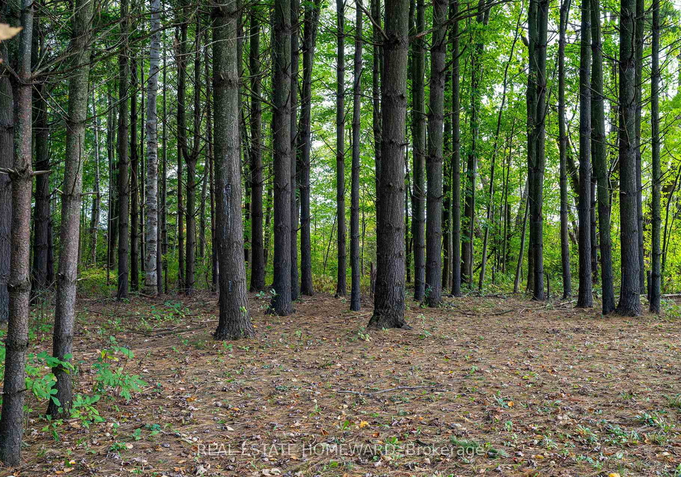 1602-county-road-7-clearview-ontario-s12410351