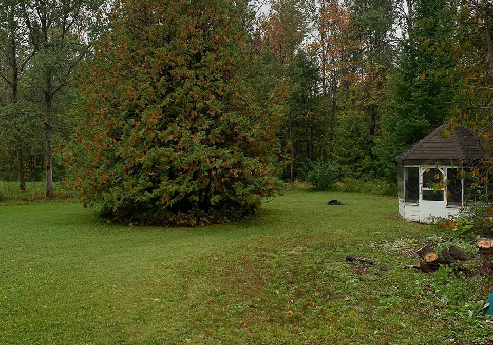 1470-gill-road-springwater-ontario-s12425108