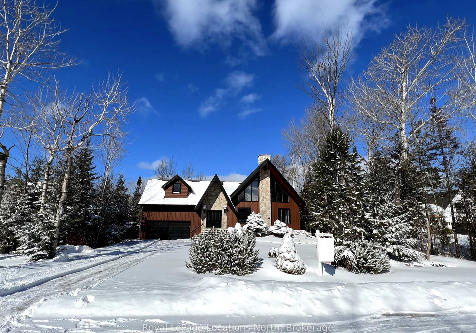 53-broadview-street-collingwood-ontario-s12427570