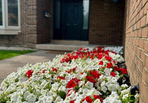 7-hailey-hollow-barrie-ontario-s12430035