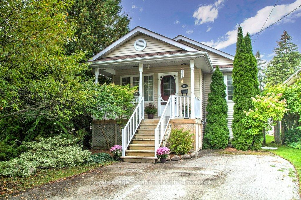 250-cedar-street-collingwood-ontario-s12441212