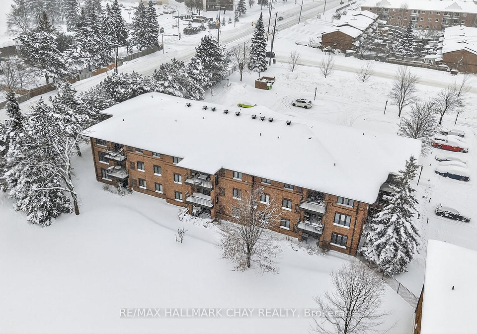 10-coulter-street-barrie-ontario-s12448070