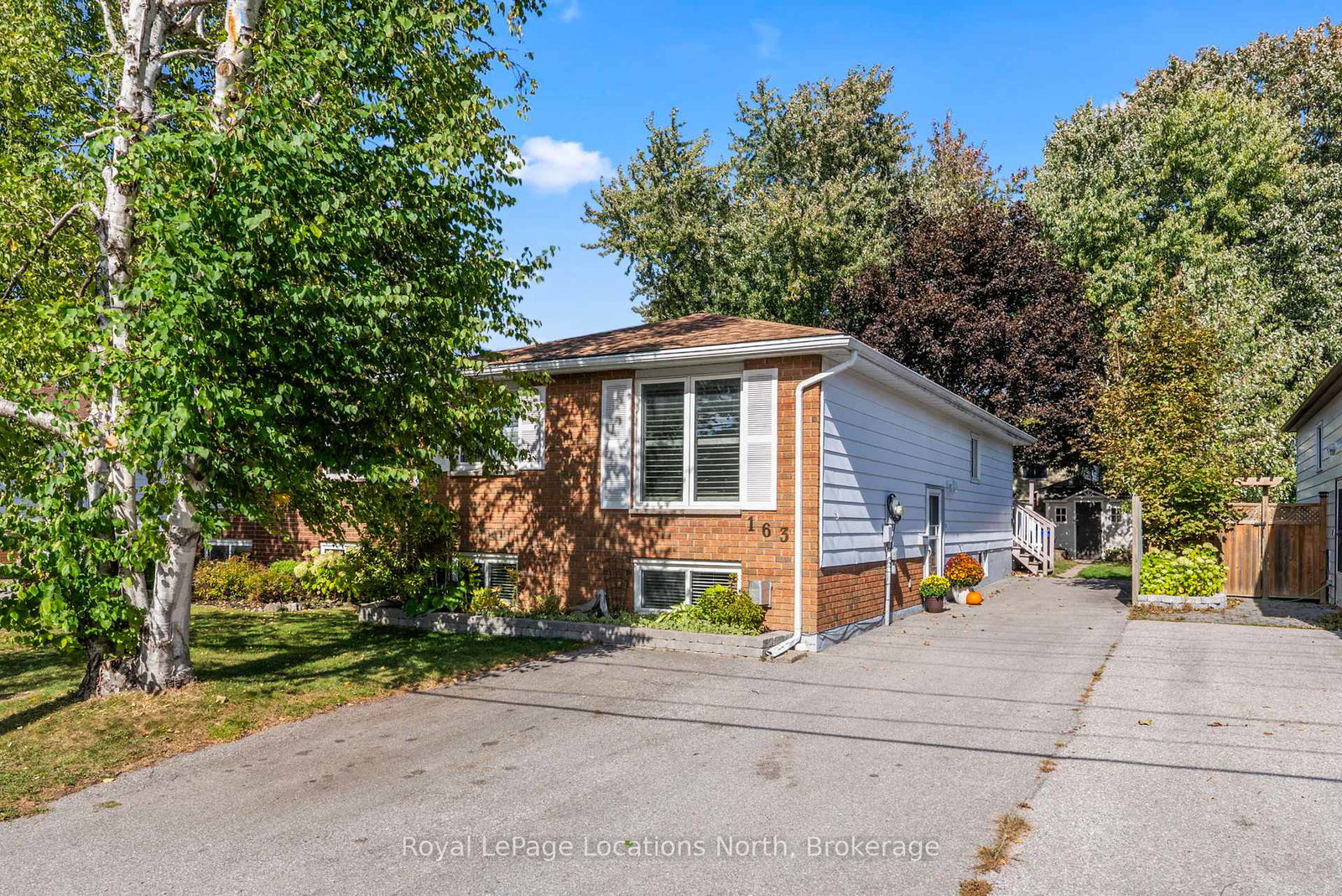 163-collins-street-collingwood-ontario-s12451781