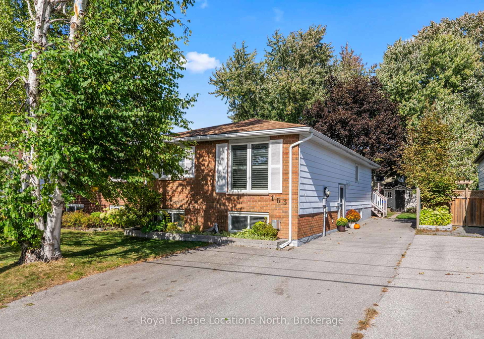 163-collins-street-collingwood-ontario-s12451781