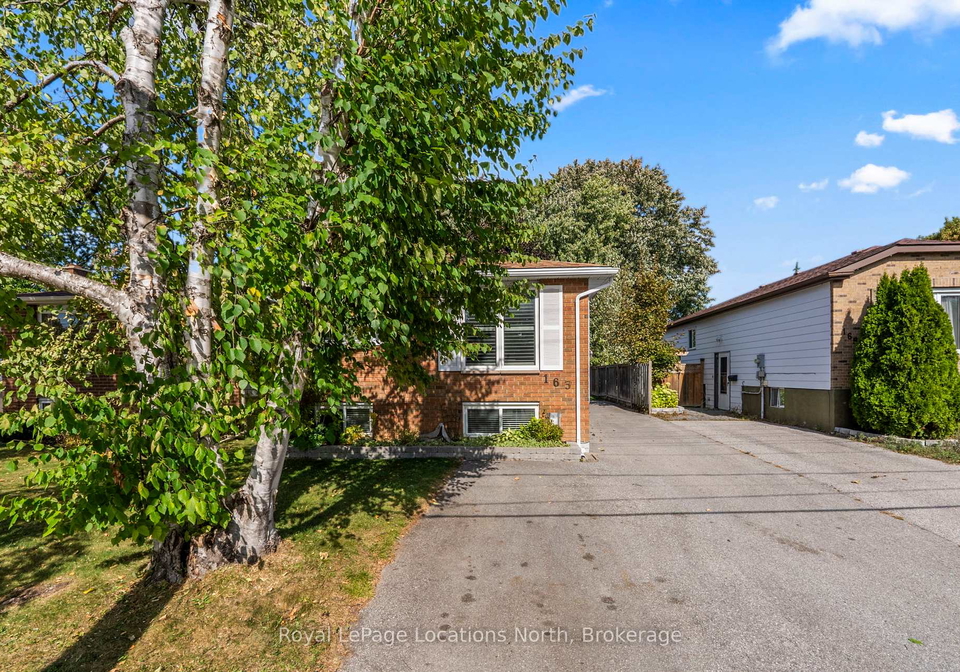 163-collins-street-collingwood-ontario-s12451781