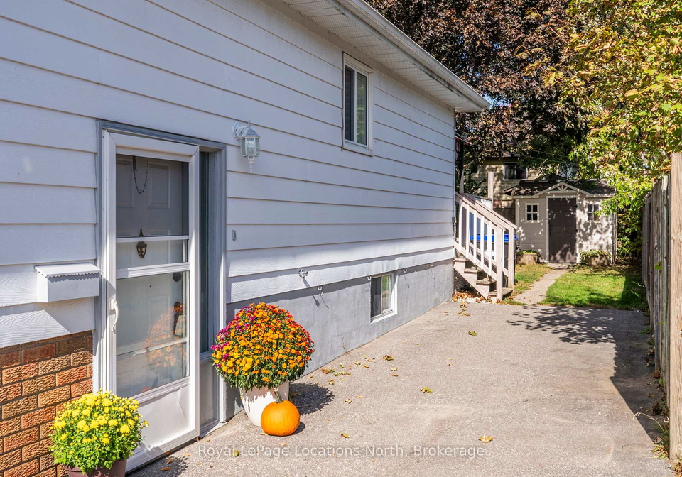 163-collins-street-collingwood-ontario-s12451781