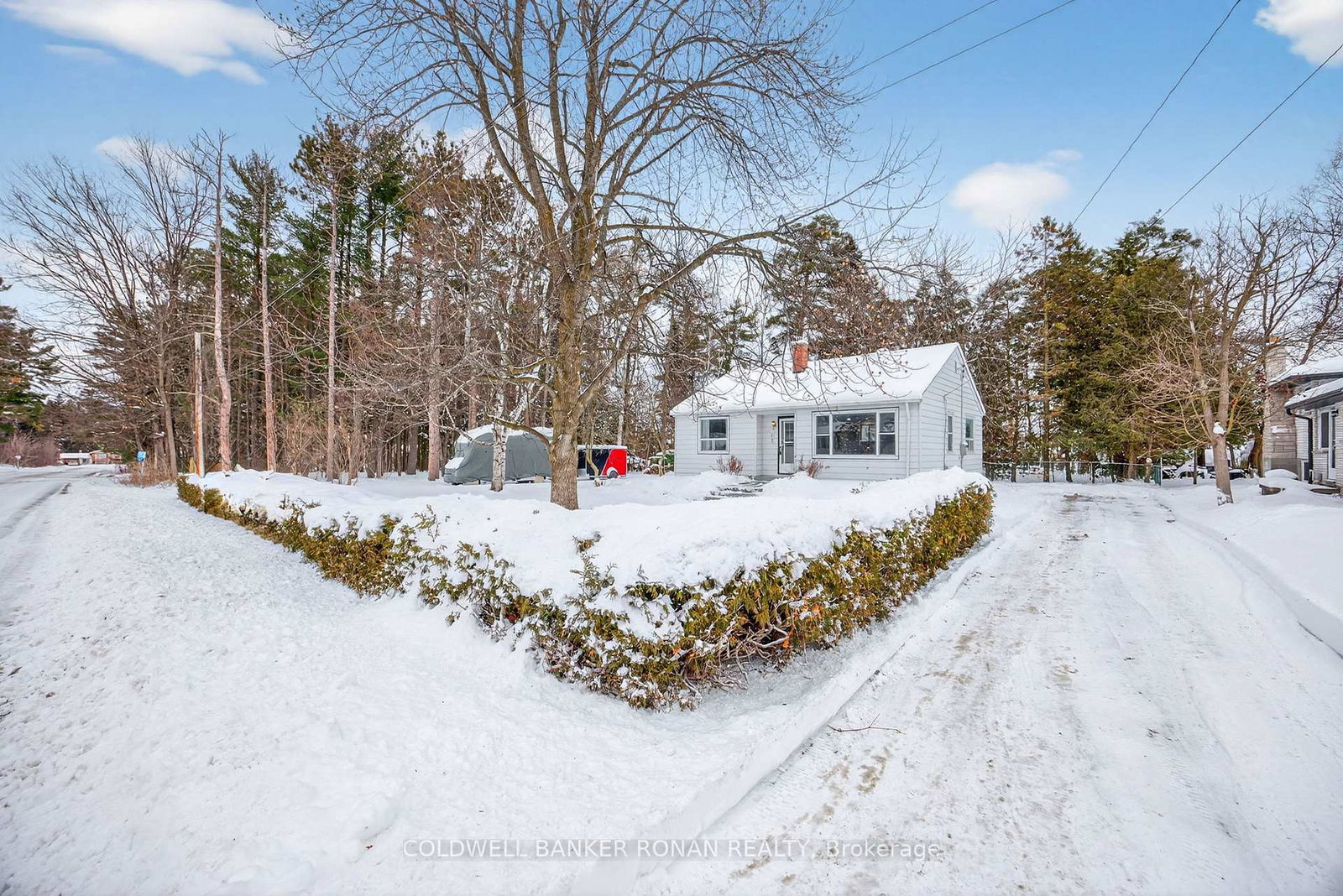 223-louisa-street-clearview-ontario-s12452249
