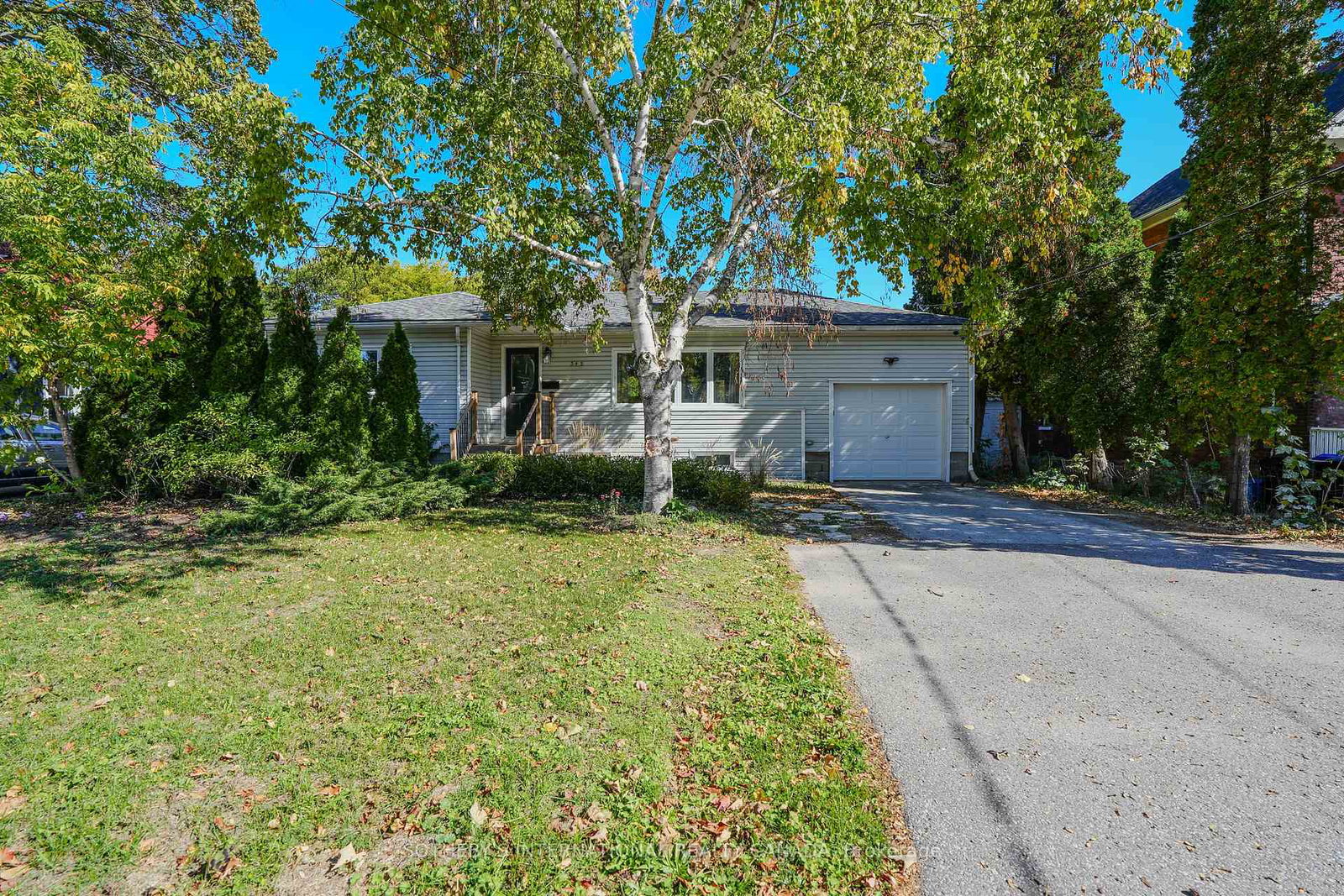 345-napier-street-collingwood-ontario-s12456791