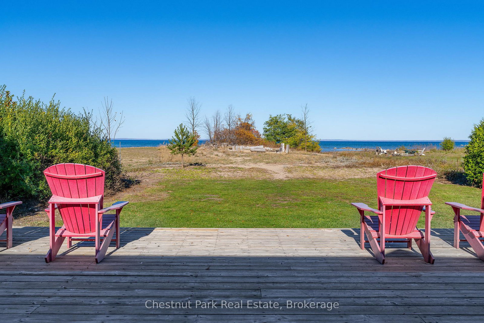 35-st-clair-street-collingwood-ontario-s12504204