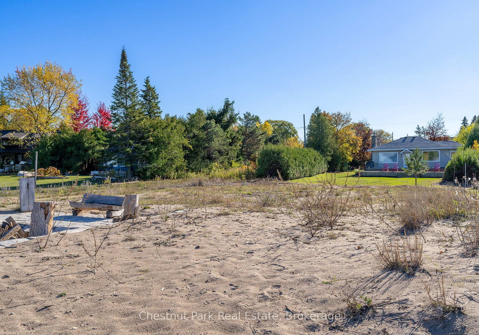 35-st-clair-street-collingwood-ontario-s12504204